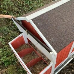 Poulailler Ardennais 6 à 8 Poules Toit Shingle -Volaille Magasin poulailler ardennais rouge pondoir ouvert