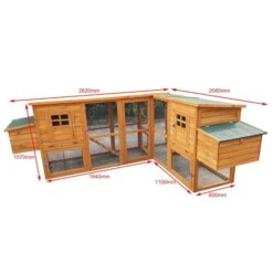 Liquidation - Poulailler Barbu Double Toit Shingle 6 à 10 Poules 9 Liquidation - Poulailler Barbu Double Toit Shingle 6 à 10 Poules -Volaille Magasin poulailler bois barbu double dimensions