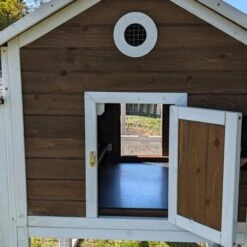 Poulailler Brahma Toit Shingle 6 à 8 Poules Bois FSC 31 Poulailler Brahma Toit Shingle 6 à 8 Poules Bois FSC -Volaille Magasin poulailler brahma vue arri re focus d tail