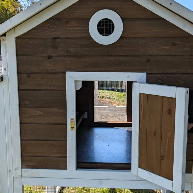 Poulailler Brahma Toit Shingle 6 à 8 Poules Bois FSC 15 Poulailler Brahma Toit Shingle 6 à 8 Poules Bois FSC – Image 13