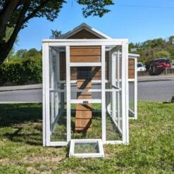 Poulailler Brahma Toit Shingle 6 à 8 Poules Bois FSC 27 Poulailler Brahma Toit Shingle 6 à 8 Poules Bois FSC -Volaille Magasin poulailler brahma vue avant avec enclos