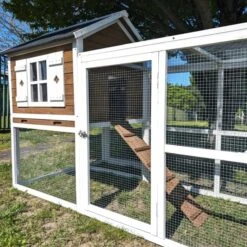 Poulailler Brahma Toit Shingle 6 à 8 Poules Bois FSC 22 Poulailler Brahma Toit Shingle 6 à 8 Poules Bois FSC -Volaille Magasin poulailler brahma vue c t 2