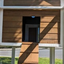 Poulailler Brahma Toit Shingle 6 à 8 Poules Bois FSC 35 Poulailler Brahma Toit Shingle 6 à 8 Poules Bois FSC -Volaille Magasin poulailler brahma vue entr poulailler