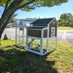 Poulailler Brahma Toit Shingle 6 à 8 Poules Bois FSC 26 Poulailler Brahma Toit Shingle 6 à 8 Poules Bois FSC -Volaille Magasin poulailler brahma vue face arri re