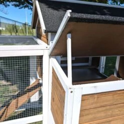 Poulailler Brahma Toit Shingle 6 à 8 Poules Bois FSC 30 Poulailler Brahma Toit Shingle 6 à 8 Poules Bois FSC -Volaille Magasin poulailler brahma vue m canisme ouverture tiroir dejection