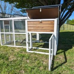 Poulailler Brahma Toit Shingle 6 à 8 Poules Bois FSC 25 Poulailler Brahma Toit Shingle 6 à 8 Poules Bois FSC -Volaille Magasin poulailler brahma vue tout ouvert