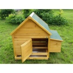 Poulailler Cémani L Toit Shingle Vert 4 à 6 Poules 10 Poulailler Cémani L Toit Shingle Vert 4 à 6 Poules -Volaille Magasin poulailler cemani vue arriere ouvert