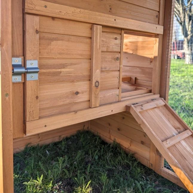 Poulailler Chabo Toit Shingle 2 à 4 Poules 12 Poulailler Chabo Toit Shingle 2 à 4 Poules – Image 10