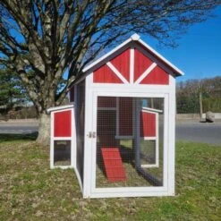 Poulailler Deluxe Rouge Toit Shingle Vert 10 à 12 Poules V3.0 -Volaille Magasin poulailler deluxe rouge toit vert 12 poules vue face ferme