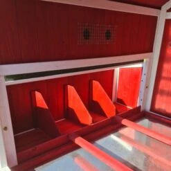 Poulailler Deluxe Rouge Toit Shingle Vert 10 à 12 Poules V3.0 -Volaille Magasin poulailler deluxe rouge toit vert 12 poules vue interieure perchoirs pondoirs