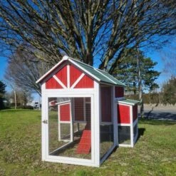 Poulailler Deluxe Rouge Toit Shingle Vert 10 à 12 Poules V3.0 -Volaille Magasin poulailler deluxe rouge toit vert 12 poules vue toit cote gauche