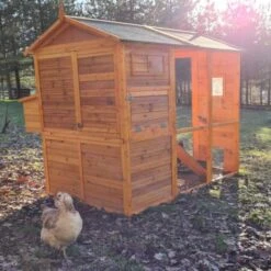 Poulailler Gaulois II Toit Shingle 6 à 10 Poules -Volaille Magasin poulailler gaulois ii 4 a 6 poules avec poules arriere