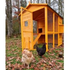 Poulailler Gaulois II Toit Shingle 6 à 10 Poules -Volaille Magasin poulailler gaulois ii 4 a 6 poules avec poules avant ouvert