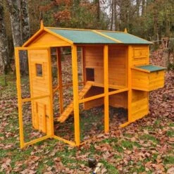 Poulailler Gaulois II Toit Shingle 6 à 10 Poules Avec Extension Parc Grillagé 21 Poulailler Gaulois II Toit Shingle 6 à 10 Poules Avec Extension Parc Grillagé -Volaille Magasin poulailler gaulois ii 4 a 6 poules cote pondoir porte ouverte 1 1