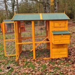 Poulailler Gaulois II Toit Shingle 6 à 10 Poules Avec Extension Parc Grillagé 20 Poulailler Gaulois II Toit Shingle 6 à 10 Poules Avec Extension Parc Grillagé -Volaille Magasin poulailler gaulois ii 4 a 6 poules cote porte ouverte feuilles 1