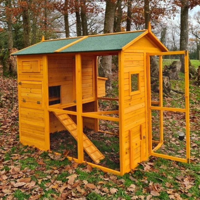 Poulailler Gaulois II Toit Shingle 6 à 10 Poules Avec Extension Parc Grillagé 8 Poulailler Gaulois II Toit Shingle 6 à 10 Poules Avec Extension Parc Grillagé – Image 6