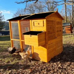 Poulailler Gaulois II Toit Shingle 6 à 10 Poules -Volaille Magasin poulailler gaulois ii toit shingle 4 8 poules arri re