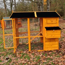 Poulailler Gaulois II Toit Shingle 6 à 10 Poules -Volaille Magasin poulailler gaulois ii toit shingle 4 8 poules vue c t 2