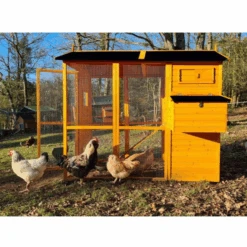 Poulailler Gaulois II Toit Shingle 6 à 10 Poules -Volaille Magasin poulailler gaulois ii toit shingle 4 8 poules vue c t