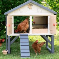 Poulailler Made In Jura Plastique 4 à 5 Poules - Smoby -Volaille Magasin poulailler plastique mij smoby face poules