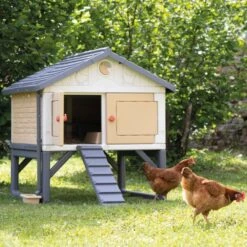 Poulailler Made In Jura Plastique 4 à 5 Poules - Smoby -Volaille Magasin poulailler plastique mij smoby face poules installe