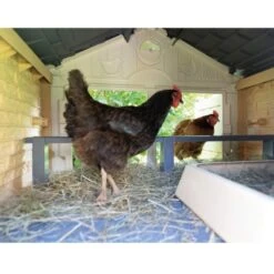 Poulailler Made In Jura Plastique 4 à 5 Poules - Smoby -Volaille Magasin poulailler plastique mij smoby interieur