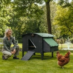 Poulailler Nestera Sur Pieds Taille L Plastique Recyclé 8 à 15 Poules -Volaille Magasin poulailler plastique recycle nestera l avec portier automatique