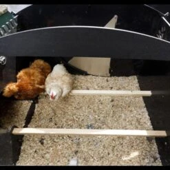 Poulailler Nestera Sur Pieds Taille L Plastique Recyclé 8 à 15 Poules -Volaille Magasin poulailler plastique recycle nestera l interieur