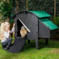 Poulailler Nestera Sur Pieds Taille M Plastique Recyclé 5 à 9 Poules -Volaille Magasin poulailler plastique recycle nestera m suggestion utilisation