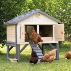 Poulailler Made In Jura Plastique 4 à 5 Poules - Smoby