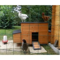 Pondoir Pour Poulailler Sussex L Et XL 2 Places Bois FSC -Volaille Magasin poulailler sussex xl deux pondoirs vue avant 1