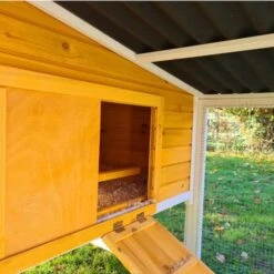 Poulailler Toit Renforcé M Toit Plastique 6 à 8 Poules -Volaille Magasin poulailler toit renforce 6 a 8 poules entree partie nuit