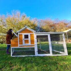 Poulailler Toit Renforcé M Toit Plastique 6 à 8 Poules -Volaille Magasin poulailler toit renforce 6 a 8 poules pondoir toit separe