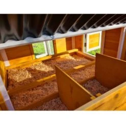 Poulailler Toit Renforcé M Toit Plastique 6 à 8 Poules -Volaille Magasin poulailler toit renforce 6 a 8 poules vue interieur