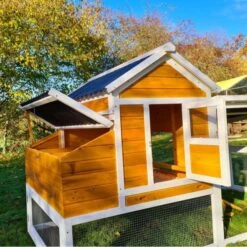 Poulailler Toit Renforcé M Toit Plastique 6 à 8 Poules -Volaille Magasin poulailler toit renforce 6 a 8 poules vue trappe pondoir