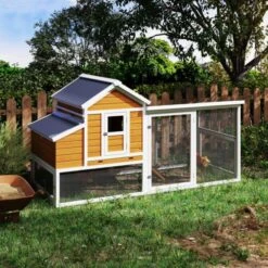 Poulailler Toit Renforcé M Toit Plastique 6 à 8 Poules -Volaille Magasin poulailler toit renforce m 6a8 poules installe cote 1