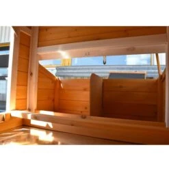 Poulailler Toit Renforcé S Toit Plastique 4 à 6 Poules -Volaille Magasin poulailler toit renforce s vue interieur pondoir