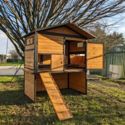 Poulailler Vorwerk Toit Shingle 10 à 12 Poules -Volaille Magasin poulailler vorwerck tout ouverty