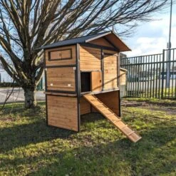 Poulailler Vorwerk Toit Shingle 10 à 12 Poules -Volaille Magasin poulailler vorwerck vue c t