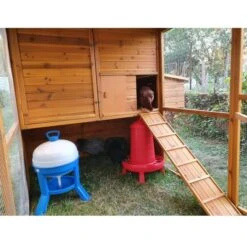 Poulailler Gournay Toit Shingle 10 à 12 Poules -Volaille Magasin poulailler gournay 10 a 12 poules toit shingle vue interieur