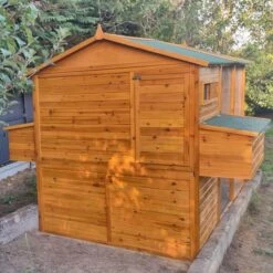 Poulailler Gournay Toit Shingle 10 à 12 Poules -Volaille Magasin poulailler gournay 10 a 12 poules vue arriere