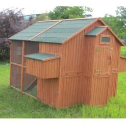 Poulailler Marans Toit Shingle 15 à 18 Poules 15 Poulailler Marans Toit Shingle 15 à 18 Poules -Volaille Magasin poulailler marans vue cote arriere