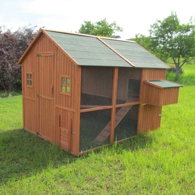 Poulailler Marans Toit Shingle 15 à 18 Poules 3 Poulailler Marans Toit Shingle 15 à 18 Poules
