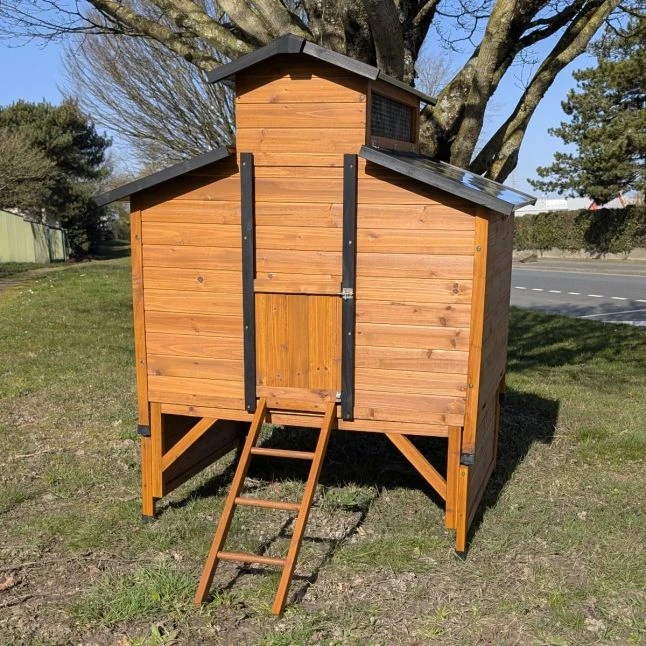 Poulailler Farmer XL Toit Tôle Ouvrant 6 à 10 Poules Bois FSC Avec Rehausse 6 Poulailler Farmer XL Toit Tôle Ouvrant 6 à 10 Poules Bois FSC Avec Rehausse – Image 4