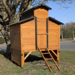 Poulailler Farmer XL Toit Tôle Ouvrant 6 à 10 Poules Bois FSC Avec Rehausse 13 Poulailler Farmer XL Toit Tôle Ouvrant 6 à 10 Poules Bois FSC Avec Rehausse -Volaille Magasin poulialler farmer avec rehausse entree fermee 1