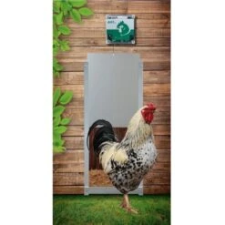 Portier électronique Poulailler Option Capteur De Luminosité à Piles VSDB - AXT Electronic 7 Portier électronique Poulailler Option Capteur De Luminosité à Piles VSDB - AXT Electronic -Volaille Magasin vsdb portier automatique a piles avec capteur de luminosite axt installe