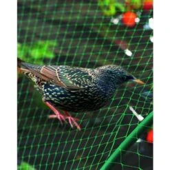 Filet De Protection Oiseaux Pour Poulailler Vert Birdnet 5x10m - Nortene 7 Filet De Protection Oiseaux Pour Poulailler Vert Birdnet 5x10m - Nortene -Volaille Magasin wil 28903 3 2d20d613 9391 4027 ad1e ea5e9c2143b9 620x