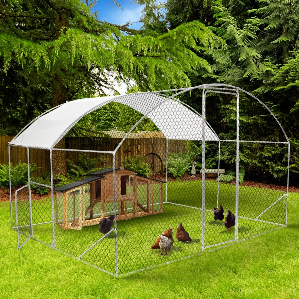 Volaille Magasin 20 Volaille Magasin -Volaille Magasin 1fa303ab1105be4d