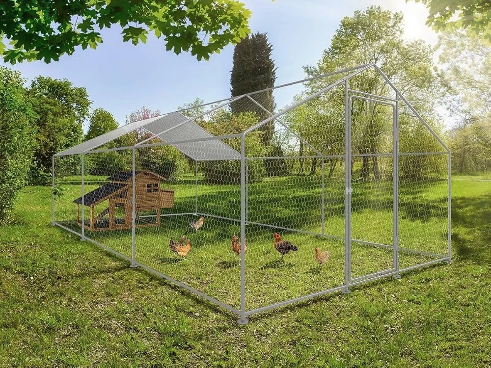 Volaille Magasin 18 Volaille Magasin -Volaille Magasin 815rHOZ4weL. UF10001000 QL80